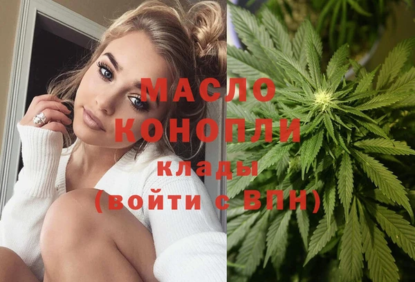 мет Алексин