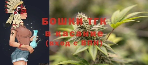 мет Алексин