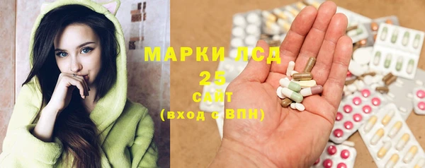 мет Алексин