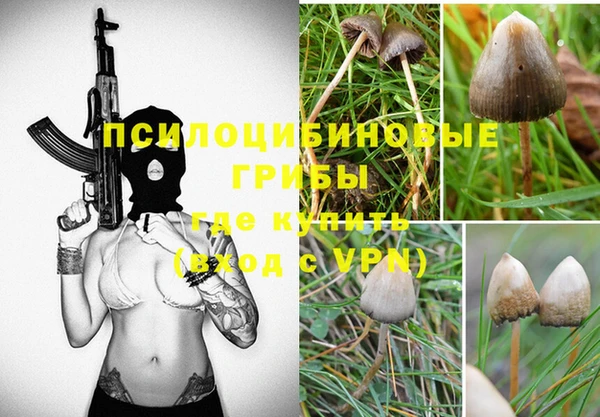 мет Алексин