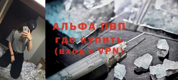 мет Алексин